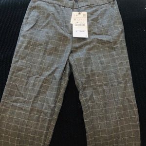 Gray checkered Zara pants
